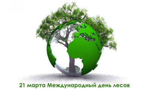 Международный день лесов