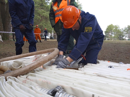 В Климовичском лесхозе состоялись соревнования по лесопожарному мастерству.