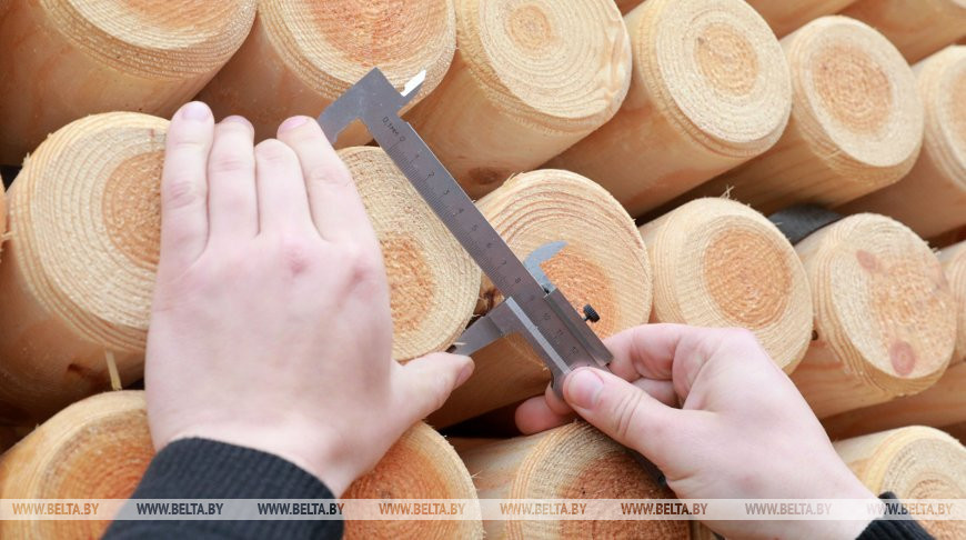 Вниманию физлиц: установлен размер штрафа за нецелевое использование деловой древесины