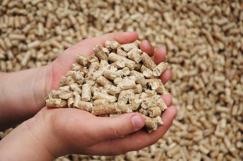 Правительство приняло решение, направленное на снижение стоимости определенного объема гранул древесных топливных для населения (до двух тонн на домовладение)