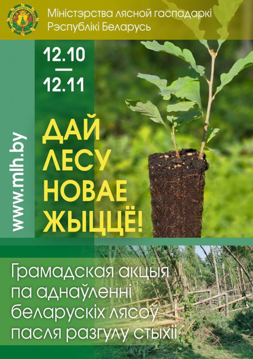 АКЦИЯ "ДАЙ ЛЕСУ НОВАЕ ЖЫЦЦЁ!" ПРОЙДЕТ В БЕЛАРУСИ С 21 МАРТА ПО 12 АПРЕЛЯ