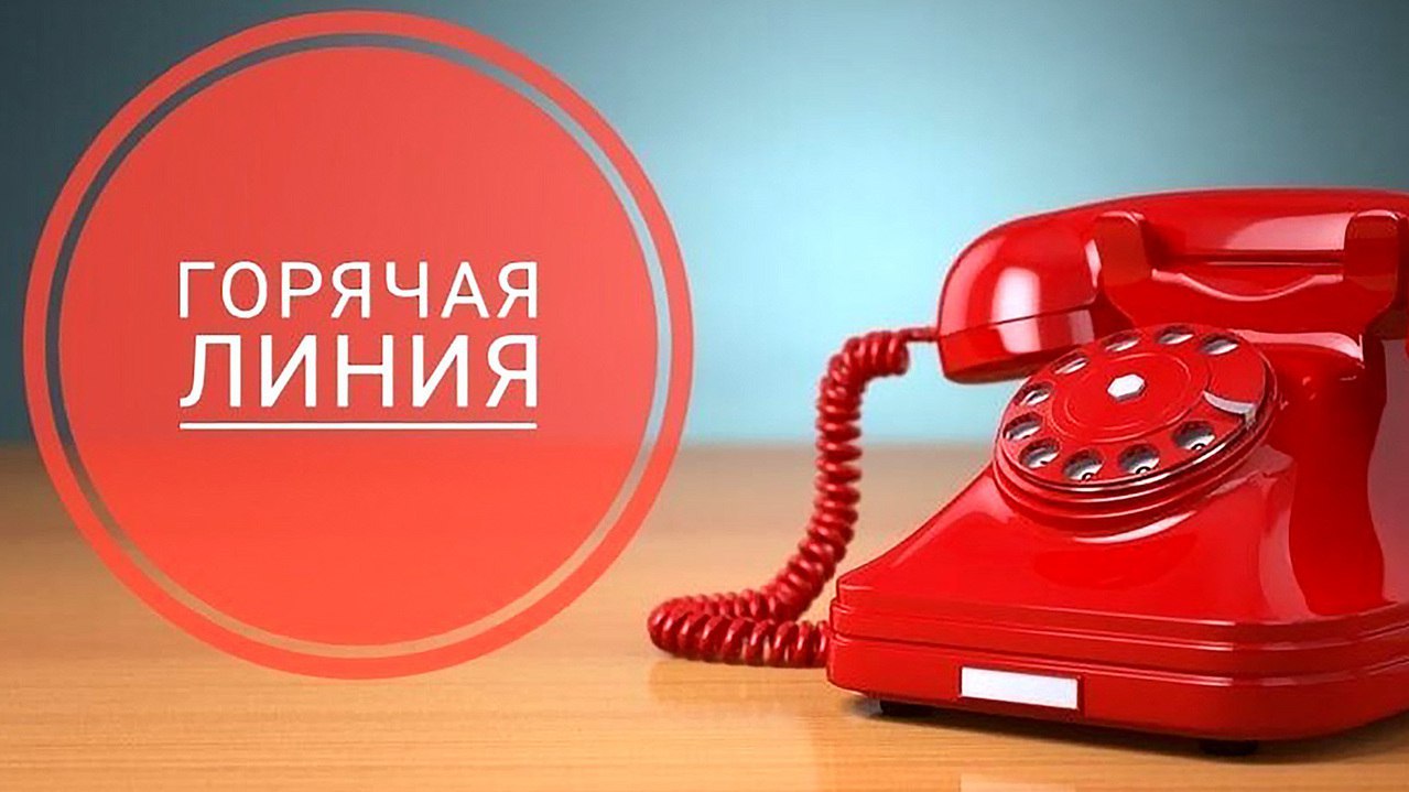 Минлесхоз запустит горячую линию по вопросам наведения порядка в лесу