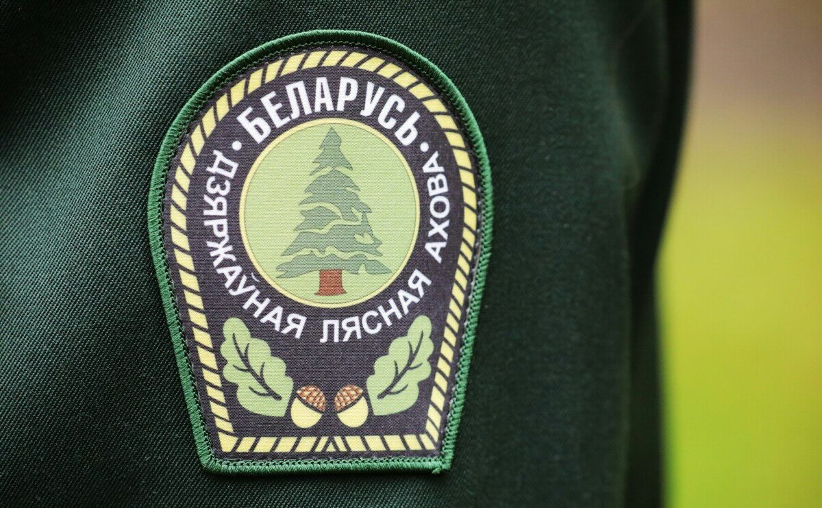 ВНИМАНИЕ!