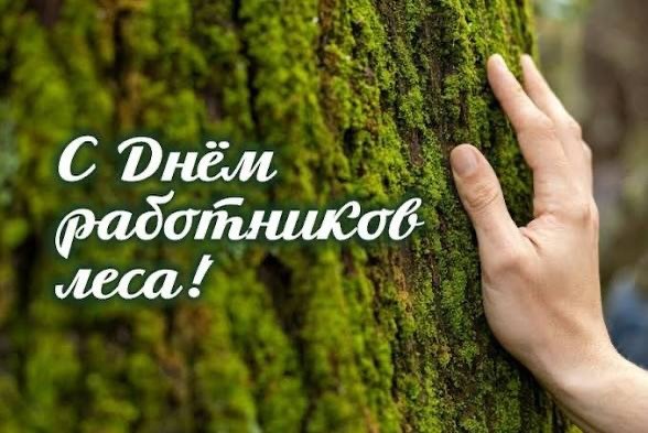 С Днем работников леса