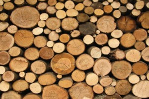 Вниманию граждан: как приобрести древесину в заготовленном виде?