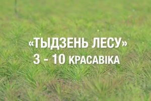 Акция «Неделя леса» пройдет в Беларуси с 3 по 10 апреля.